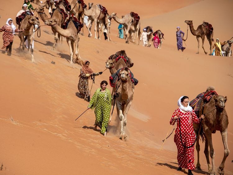camel-trek-1-1672126544336