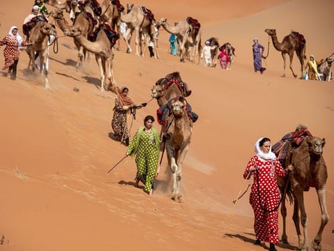 The caravan of 34 'camel trekkers' meanders through the dunes between Abu Dhabi and Dubai 