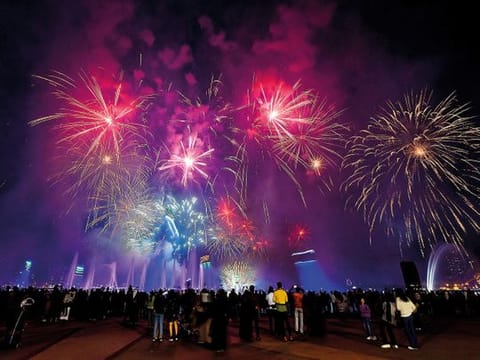 New Year fireworks (file photo)