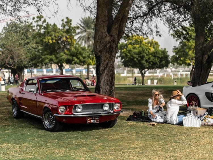 DUBAI GRAND PICNIC