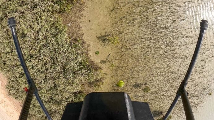 EAD Plants One Million Mangrove Seeds  1-1673591773445