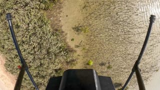 UAE: Drones plant 1 million mangrove seeds in Abu Dhabi