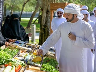 UAE: Sheikh Hamdan launches Dubai Farms to support Emirati farmers