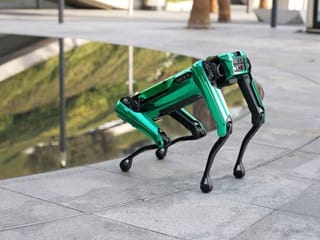 Watch: Robodog plays with visitors at Museum of the Future in Dubai