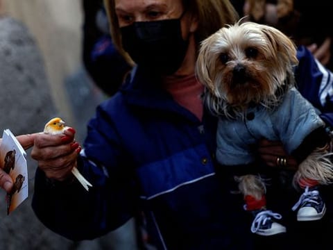 Photos: Spanish pets blessed by priests in annual ritual