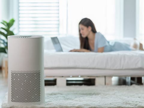 Keep an air purifier on your desk as you work or by your bed at night to improve the quality of the air around you.