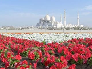 7 places to go in Abu Dhabi for unique experiences
