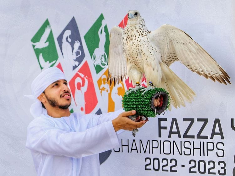 Falcon racing