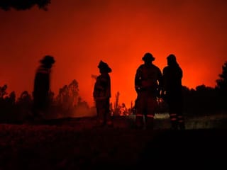 Warning: Heat-related deaths may skyrocket without climate action, Why fitness should be a way of life, and more, Gulf News Editors comment on November 15 top news 