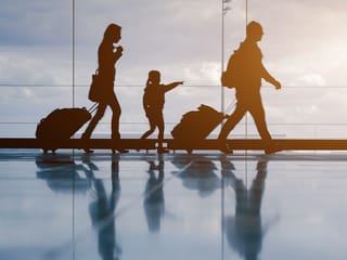 Food and medications Indian travellers cannot bring on India to UAE flights