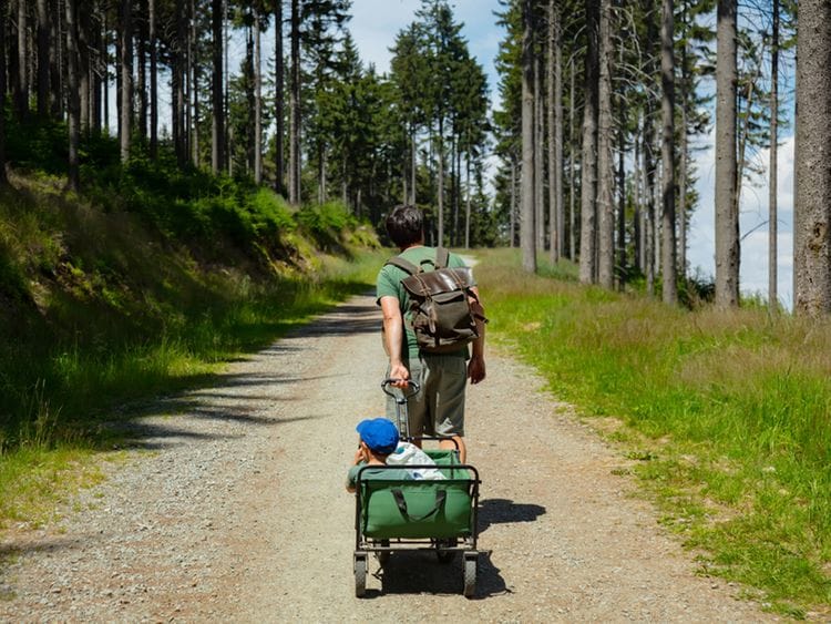 stroller wagon
