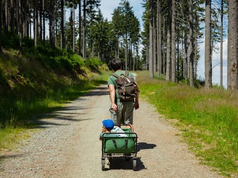 Stroller wagons are a combination of two favourite baby gear items - they're fun, functional and roomy enough for your whole brood.
