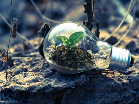 By prioritising green workforce development, governments can achieve groundbreaking goals