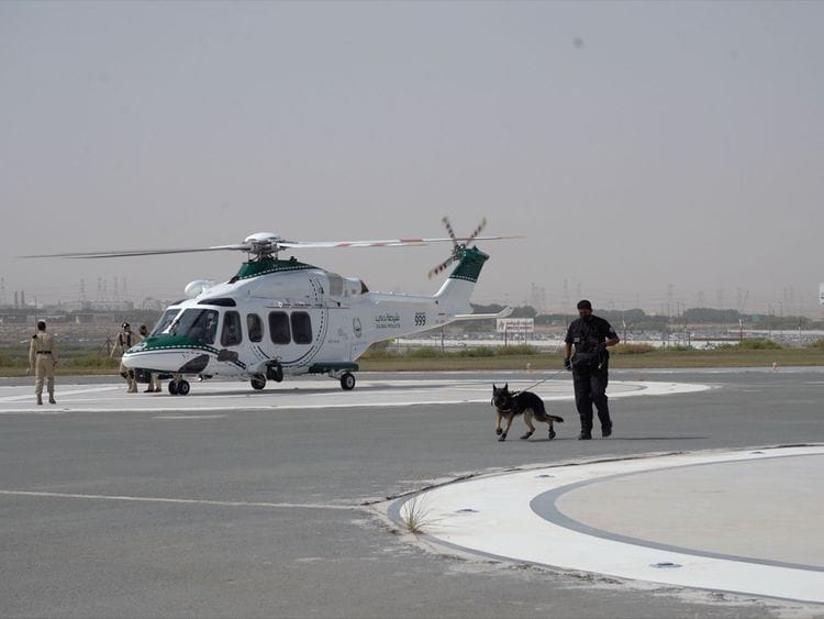 K9FLIGHT-1676794853874
