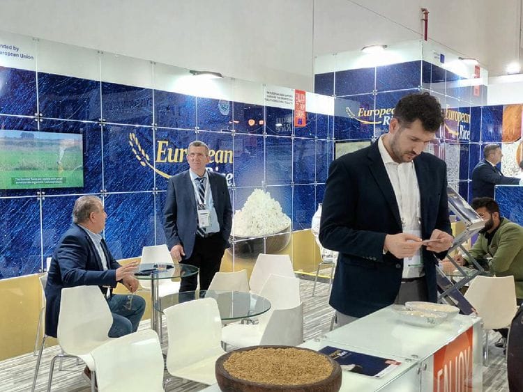 Stock-European-Rice
