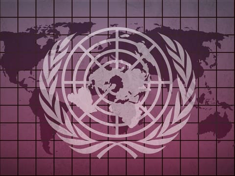 UN was established in 1945 with the main objectives of the “maintenance of international peace and security