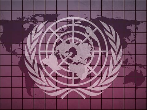UN was established in 1945 with the main objectives of the “maintenance of international peace and security