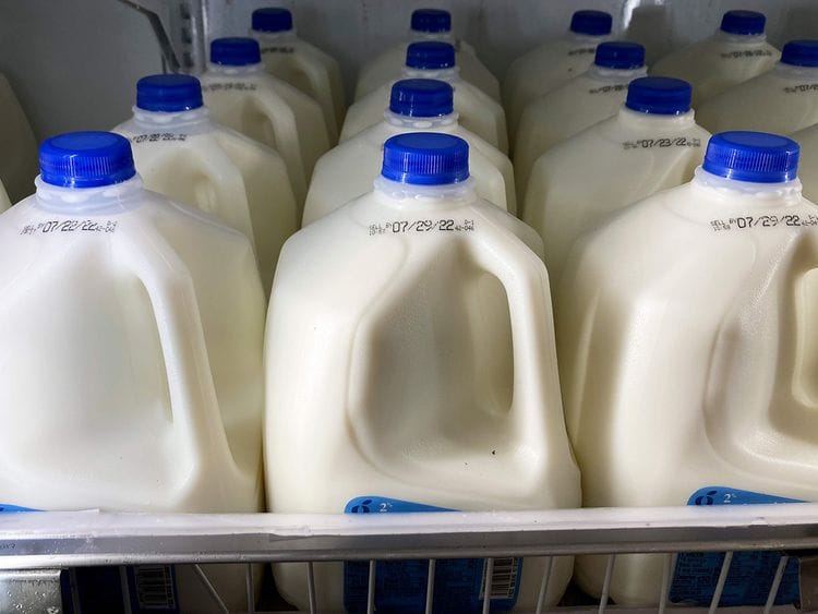 plant-based milk