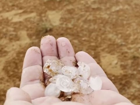 Hail in Maliha and Khorfakkan