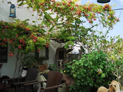 Vengaserry's terrace garden