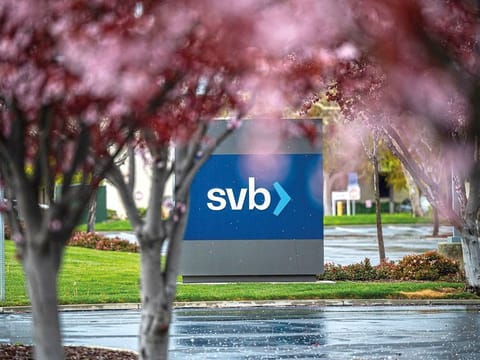  US authorities swooped in and seized the assets of SVB, a key lender to US startups since the 1980s, after a run on deposits made it no longer tenable for the medium-sized bank to stay afloat on its own.