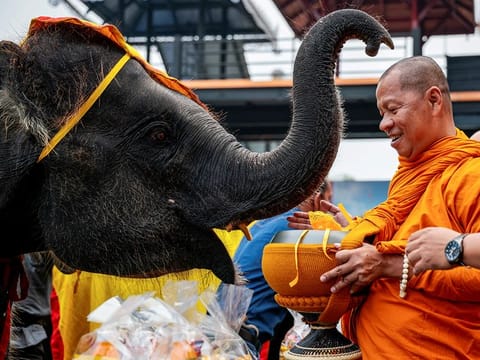 Thailand has welcomed 23.2 million foreign tourists and received 981.7 billion baht in foreign tourist receipts this year.