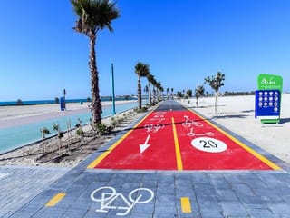 UAE: Shared e-scooter trips double to 1 million in Dubai