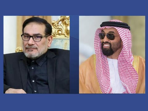  Sheikh Tahnoun bin Zayed Al Nahyan (R) and Ali Shamkhani