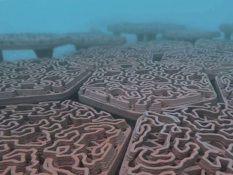 Archireef-Abu-dhabi-1679207092480