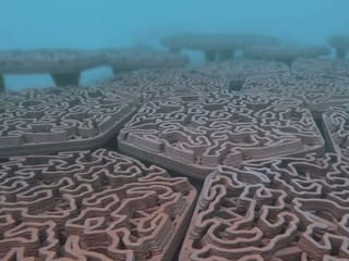 Watch: How custom-made tiles will restore coral reefs in Abu Dhabi waters