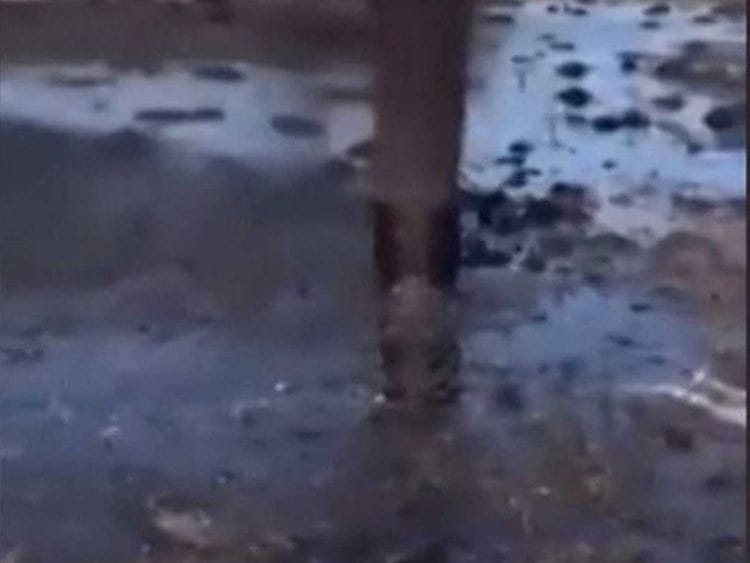 Kuwait oil spill