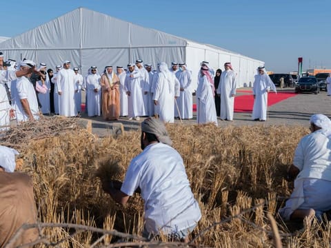 His Highness His Highness Dr Sheikh Sultan bin Mohammad Al Qasimi at the harvest