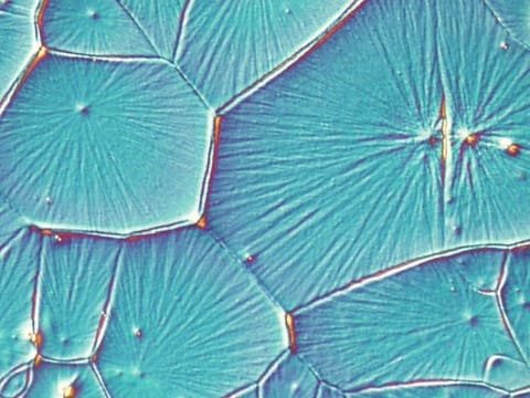 A microscopic view of perovskite solar cells, which promise doubling the light-to-power conversion rate of available photovoltaic cell technologies. Solar Power Europe reported a doubling of installed solar generation capacity to 1.1 TW in 2022 from 2018, making it the fastest-growing source of new electricity generation capacity globally.