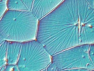Perovskite: Solar energy for you and me?