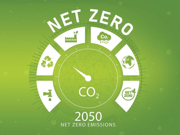 Stock-Net-Zero