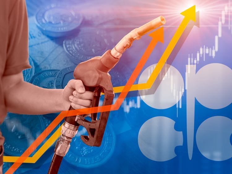 Oil price fuel OPEC
