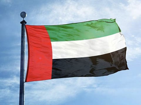 UAE Flag