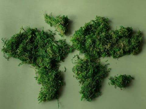 World Earth Day 2023