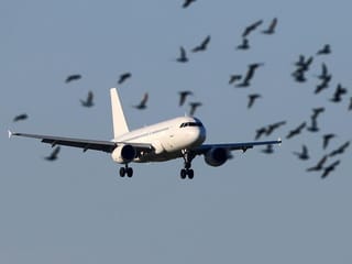 Hundreds of Iranians held on US immigration charges will be deported to Iran
