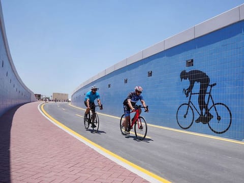 The tunnel is 6.6 metres wide