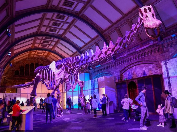 2023-05-08T155945Z_2135088959_RC2L50AB4NEB_RTRMADP_3_SCIENCE-SAUROPODS-(Read-Only)