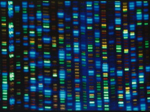 The much-heralded Human Genome Project was a huge milestone for science, but most of that genetic blueprint came from one man from Buffalo, N.Y.