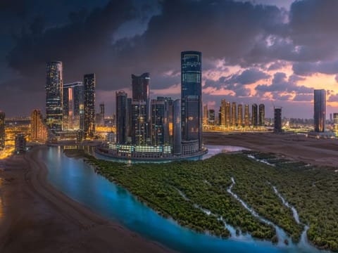 Mangrove forest on Reem Island in Abu Dhabi. Image used for illustrative purpose only. 