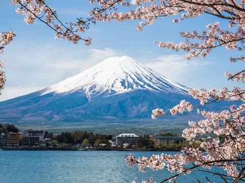 Mount Fuji is covered in snow for most of the year, but during the summer hiking season many trudge up its steep, rocky slopes through the night to see the sunrise.