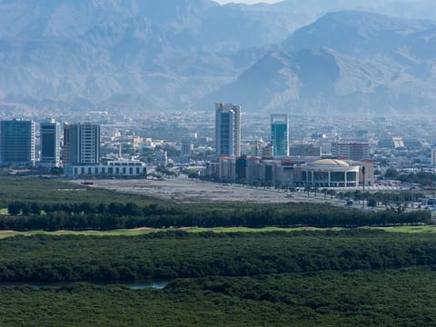 A gang of eight in Ras Al Khaimah has been sentenced to six months in prison followed by deportation for allegedly committing forgery in an electronic document.