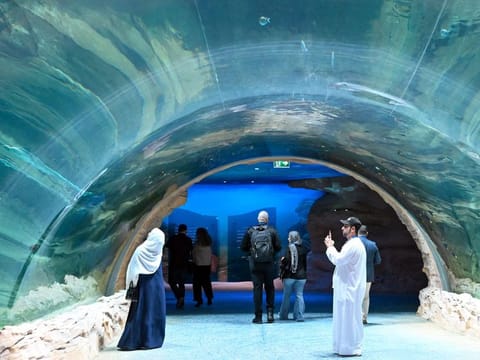 Looking for some fun activities that don't involve going out in the summer heat? Here are six indoor theme parks you can visit during the break. 