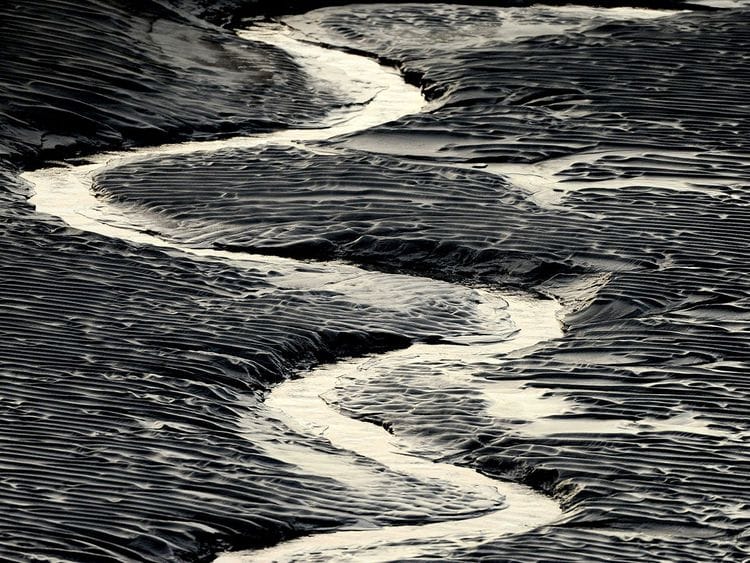 20230526 mud flats