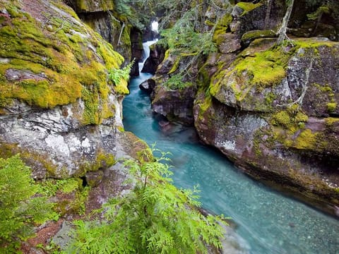 Avalanche Creek in Montana.