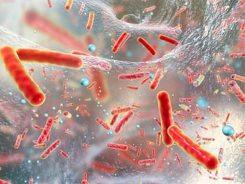  [Illustrative image]. Infections caused by superbugs or antibiotic resistant infections kill more than a million people a year.