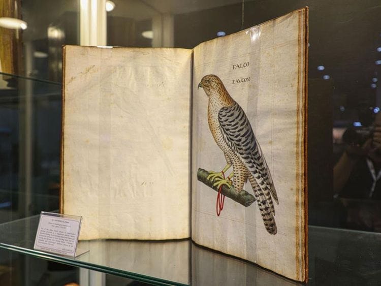 Pierre-Gourdel's-book-at-abu-dhabi-book-fair-1685183043865